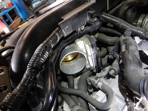 20170705_115324.jpg