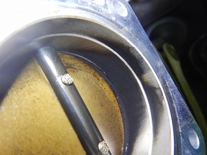 20170705_115657.jpg