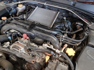 20170705_125557.jpg