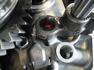 20180314_134600.jpg