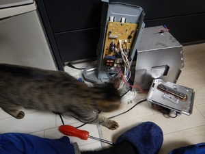 DSCN7963.jpg