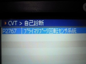 たステラ01.jpg