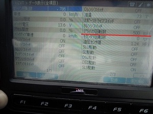 たステラ02.jpg