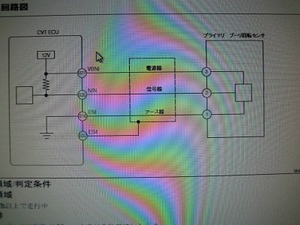 たステラ06.jpg