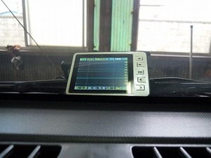 たステラ09.jpg