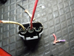 たステラ10.jpg
