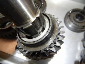 まミニ (34).jpg